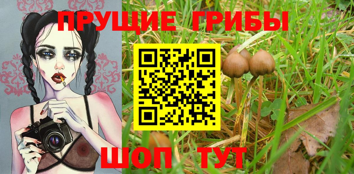 Ревда  Псилоцибиновые грибы Cubensis  Псилоцибиновые грибы ЛСД  Вход с VPN 