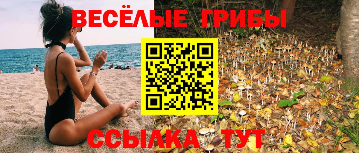 Галлюциногенные грибы GOLDEN TEACHER Ревда